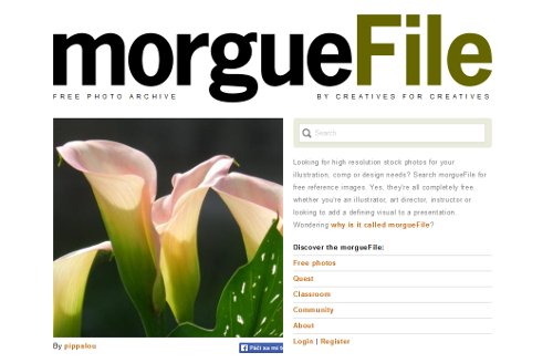 morguefile